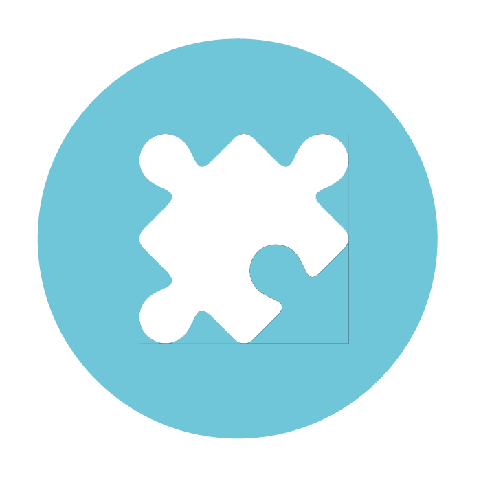 RCProcessIcons-04 icon of a puzzle piece